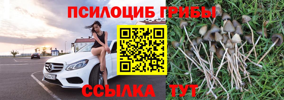 Гусь-Хрустальный  Галлюциногенные грибы прущие грибы  Вход с VPN 